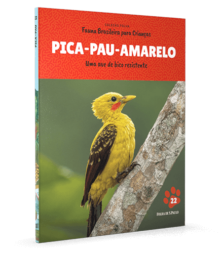 Pica-pau-amarelo 