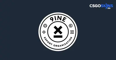 9INE organized a charity event to help flood victims in Poland