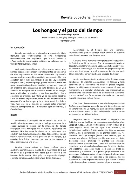 Los_hongos_y_el_paso_del_tiempo