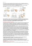 Resumencompleto_fisica2