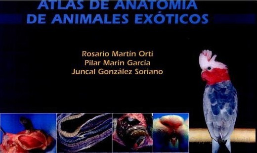 Atlas de anatomia Animales Exóticos