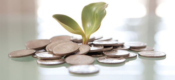 Image of a plant growing out of coins and money