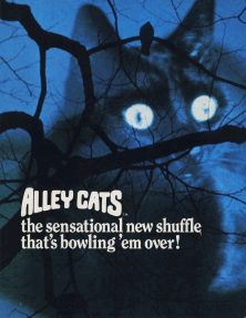 Alley Cats Shuffle Alley