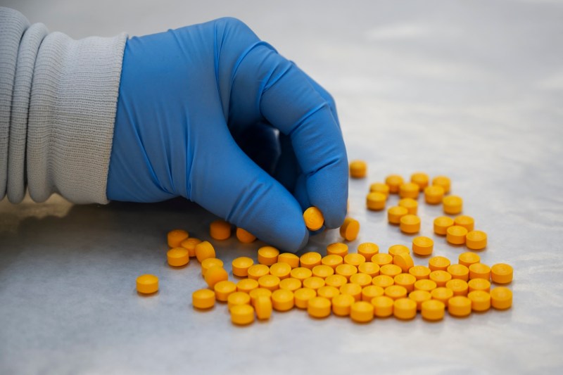 A U.S. Drug Enforcement Administration chemist checks confiscated powder containing fentanyl at the DEA Northeast Regional Laboratory.