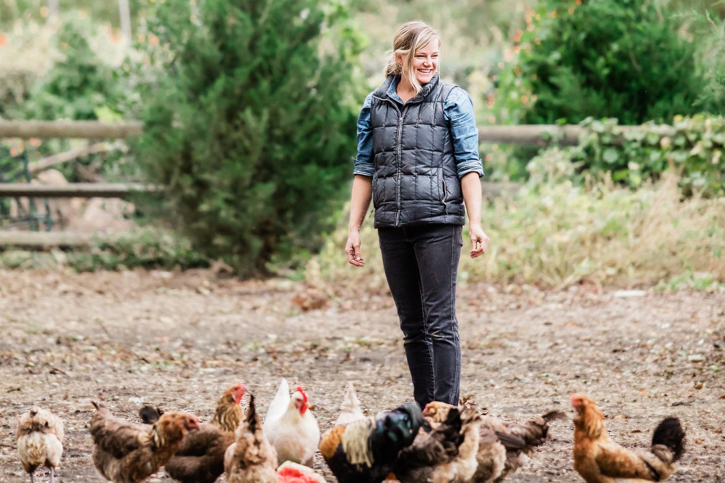 A guest feeds the chickens at Beach Plum Farm.