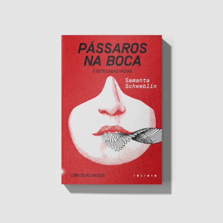 Pássaros na boca e Sete casas vazias: contos reunidos