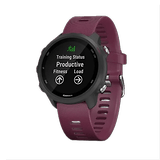 Garmin Forerunner 245