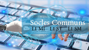 Socle Commun 