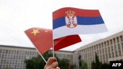 贝尔格莱德人手举塞尔维亚与中国国旗迎接中国领导人习近平的到访。（2024年5月8日）