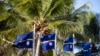 资料照：太平洋岛国瑙鲁国旗