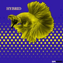 Hybrid