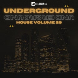 Underground House, Vol. 29