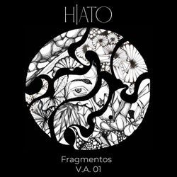 Fragmentos VA 01