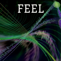 Feel