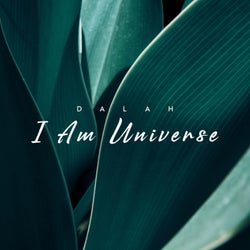 I Am Universe