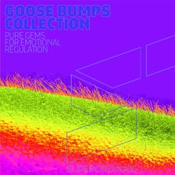 Goose Bumps Collection, Vol. 11