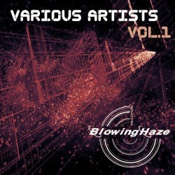 Various Artists Vol.1