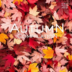 Autumn Compilation