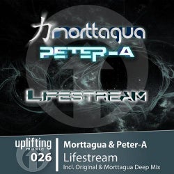 Lifestream