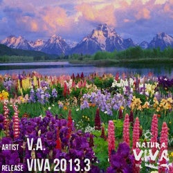 Viva 2013.3