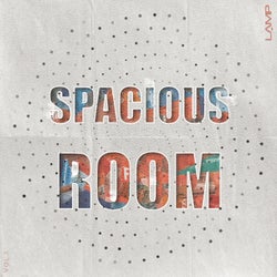 Spacious Room, Vol. 1