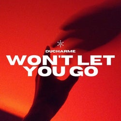 Won't Let You Go