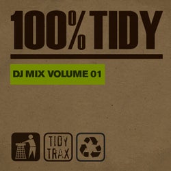 100% Tidy, Vol. 1