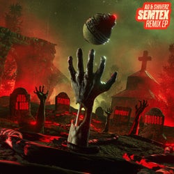 SEMTEX (REMIXES)