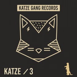 Katze 3