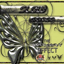 Butterfly Effect