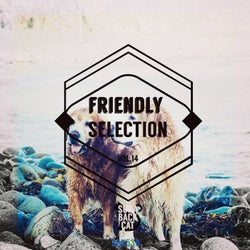 Friendly Selection, Vol. 14