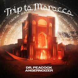 Trip to Morocco