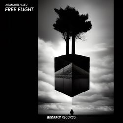 Free Flight