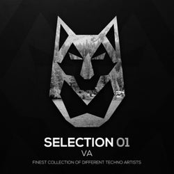 SELECTION 01