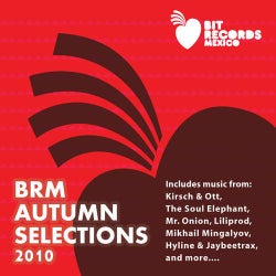 BRM Autumn 2010