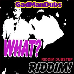 What Riddim: [Riddim Dubstep]