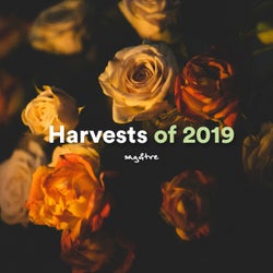 Harvests of 2019