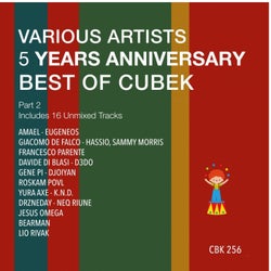 5 Years Anniversary Best of Cubek, Pt. 2