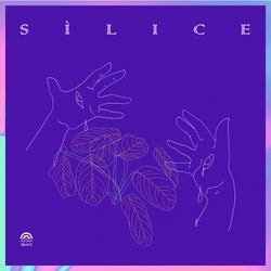 Silice (Un Compilado de Productores Mujeres Cis, Trans y No Binaries)