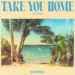 Take You Home (Extended Mix)