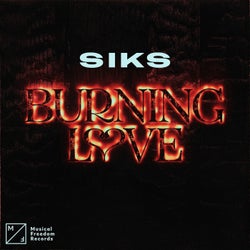 Burning Love (Extended Mix)