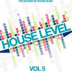 House Level, Vol. 5 (The Sound of House Music)