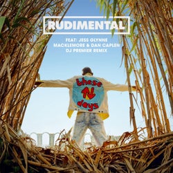 These Days (feat. Jess Glynne, Macklemore & Dan Caplen) [DJ Premier Remix]