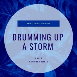 Drumming Up A Storm (Tribal House Grooves), Vol. 3