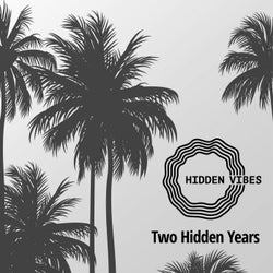 Two Hidden Years