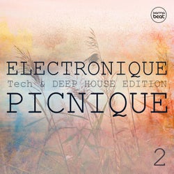 Electronique Picnique, Vol. 2 (Teck & Deep House Edition)