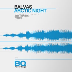 Arctic Night