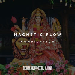 Magnetic Flow