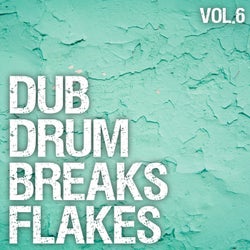 Dub Drum Breaks Flakes, Vol. 6