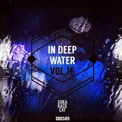 In Deep Water, Vol. 16